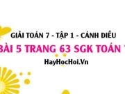 Giải bài 5 trang 63 Toán 7 Tập 1 SGK Cánh Diều